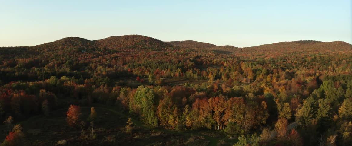 The landscape is full of trees
