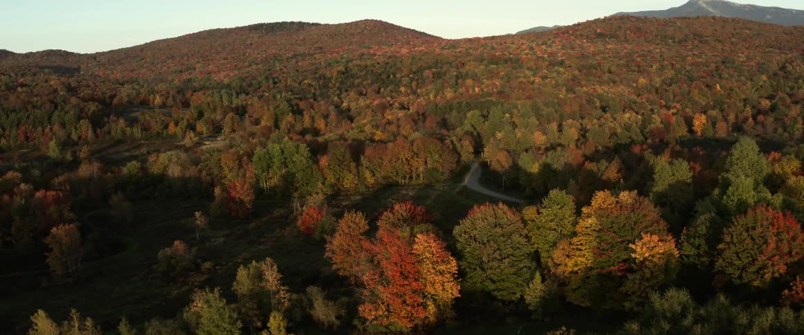 Mountain slope covered in colorful trees in autumn