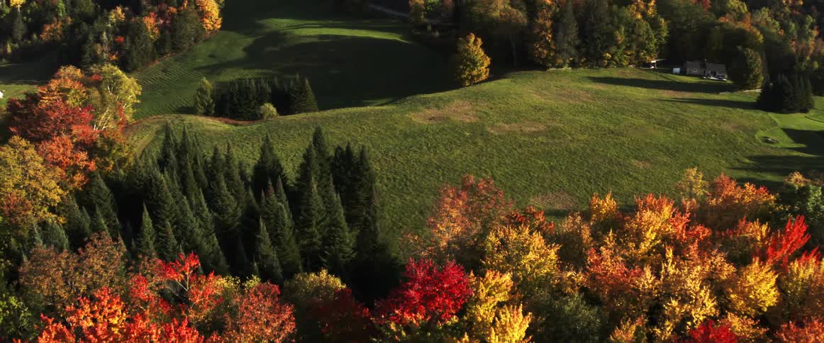 A grassy landscape in spring is displayed