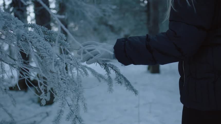 A person walks past a snow covered tree touching the branches