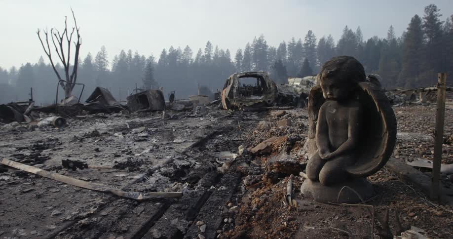 A plot of dirt with burned up vehicles and ash where a building once stood at the edge of a forest with a dark chipped up cherub lawn statue sitting on the charred dirt