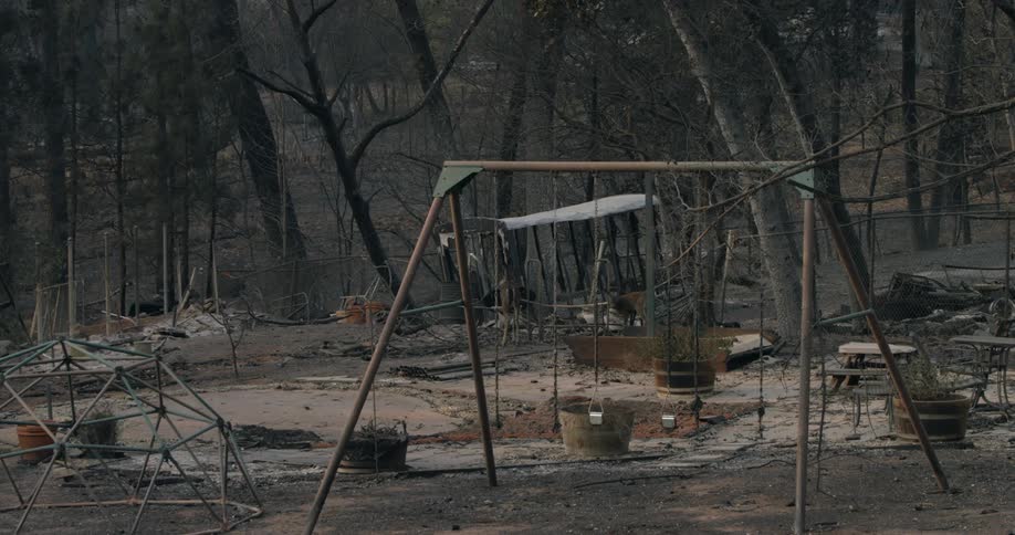 A deer walks past the empty park that has been burned