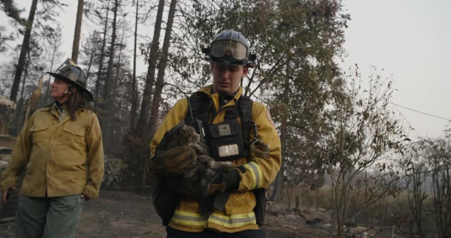 Two firefighters walking away from woods one is carrying a rescued cat