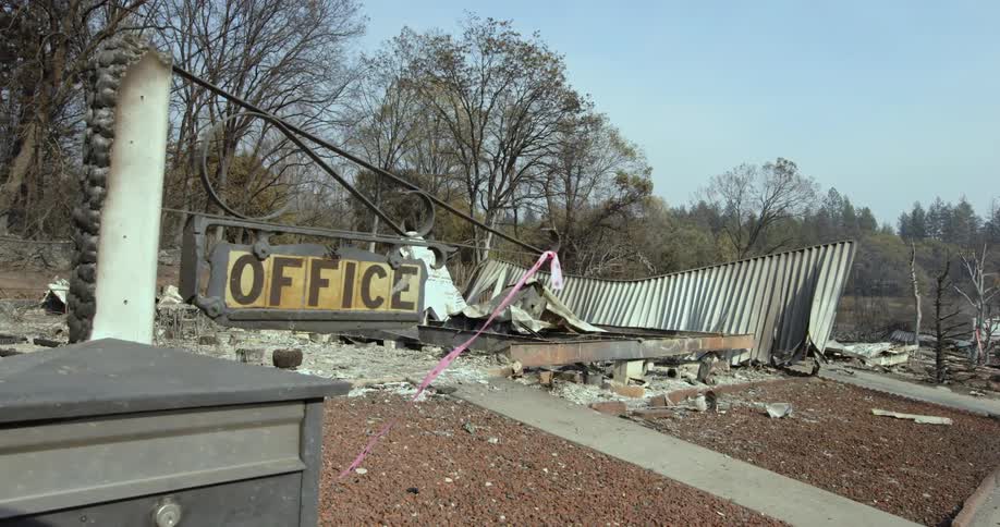 A burnt down office in the forest