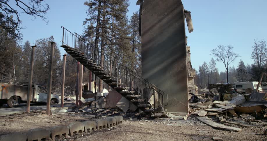 A staircase and wall are all that remain from a burned down building in the forest