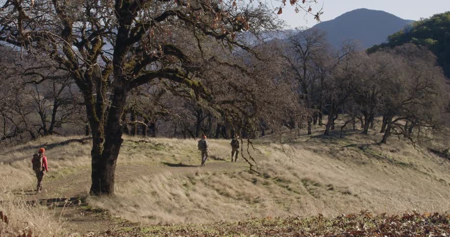 A woman and two men with rifles hike down a trail toward a canyon