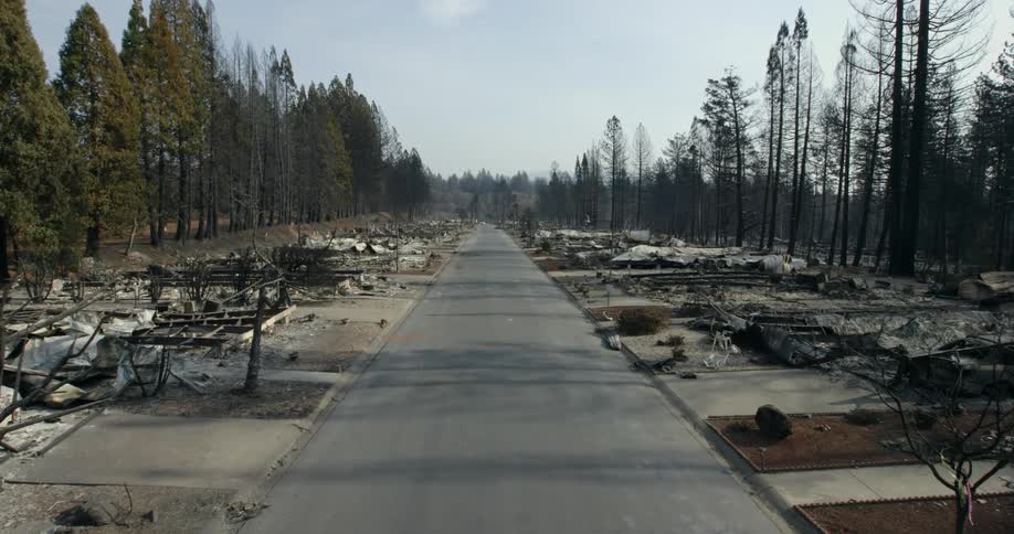 Moving down a street with driveways but the houses are gone ripped from their foundations with rows of trees standing behind their remains