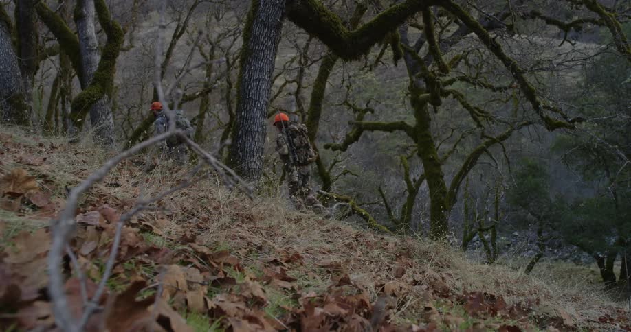 A man and woman hunters are walking in the forest in camouflage