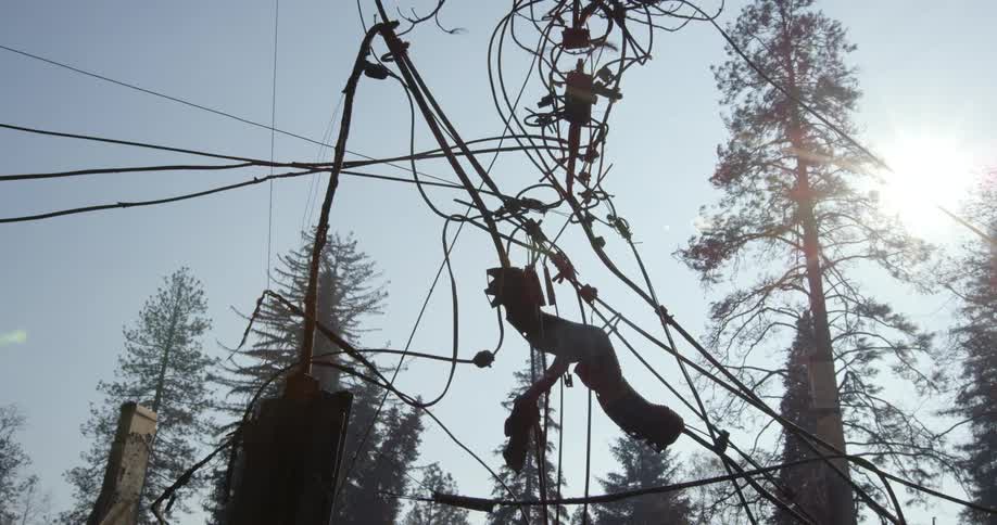 Damaged tangle of telephone and power lines hang with conifer trees in the background on a sunny day