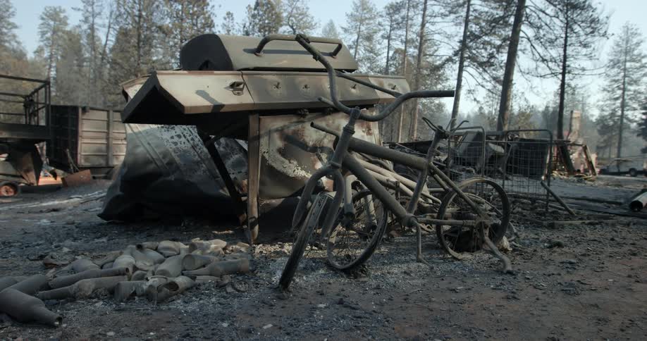 Burned household items sit in ashes of burned down house with conifer forest in the background