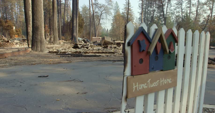 A scorched sign stands on street in front of destroyed houses surrounded by trees