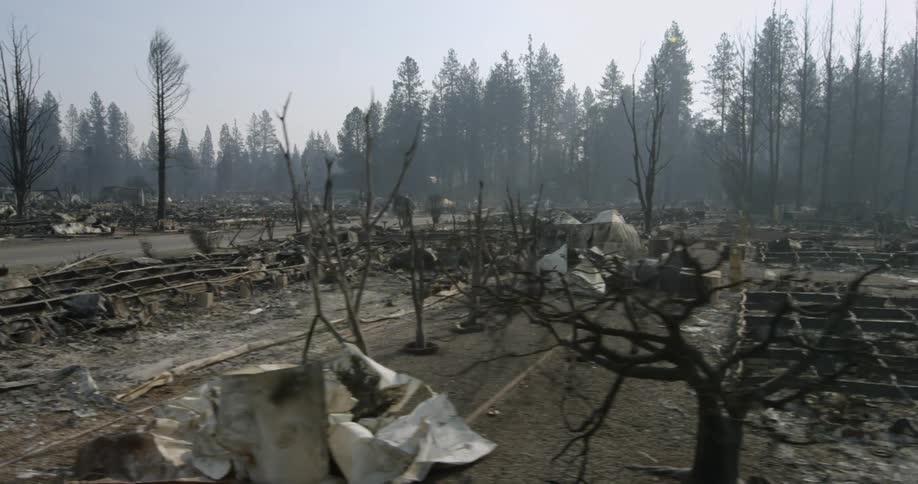 smoke hangs in the air of a neighborhood recently burned by a forest fire