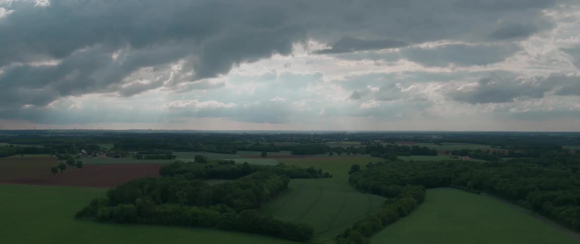 Rows of crops are surrounded by bushes in a vast field