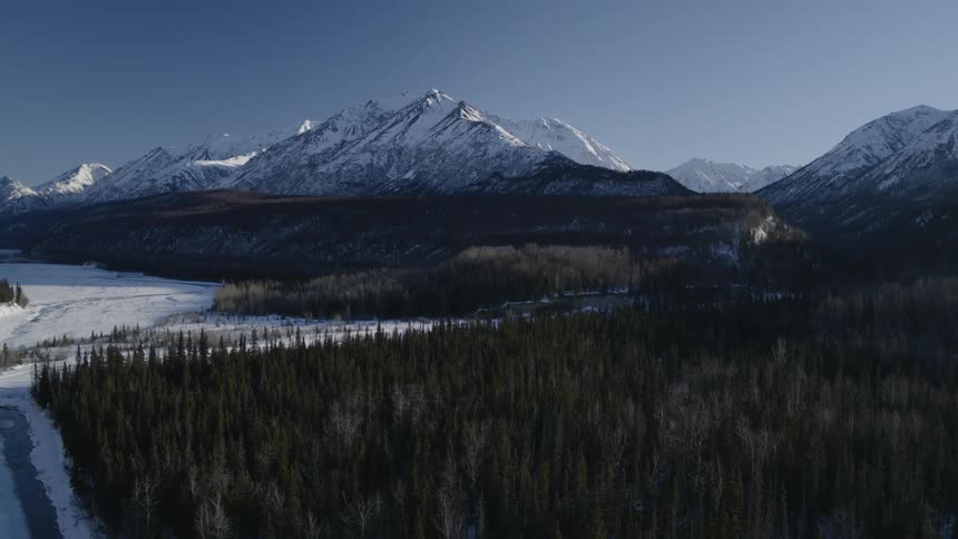 A dense forest leads to a mountain range ahead