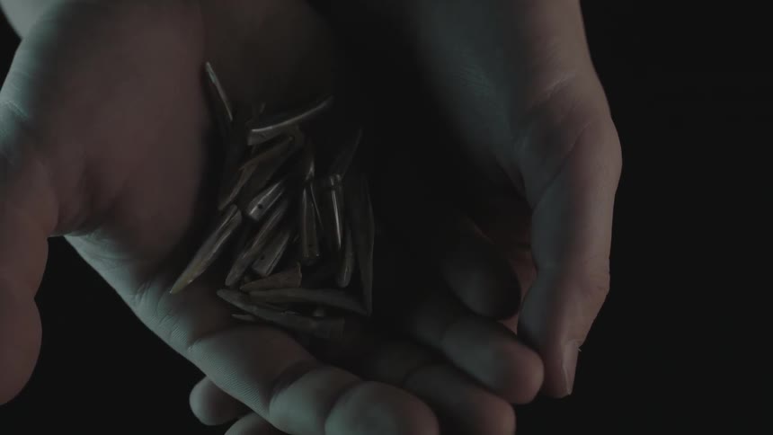 Someone holding a handful of shards