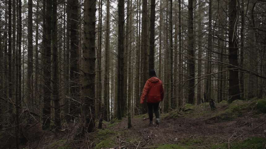 Woman with black hat orange coat and black leggings hikes in the forest