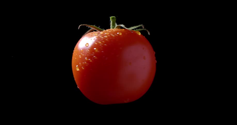 Water drops on a fresh organic tomato rotating in the darkness of a studio with cinematic lighting