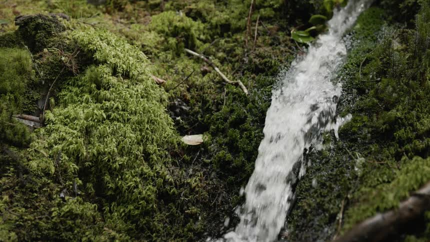 Close up of small stream flowing down