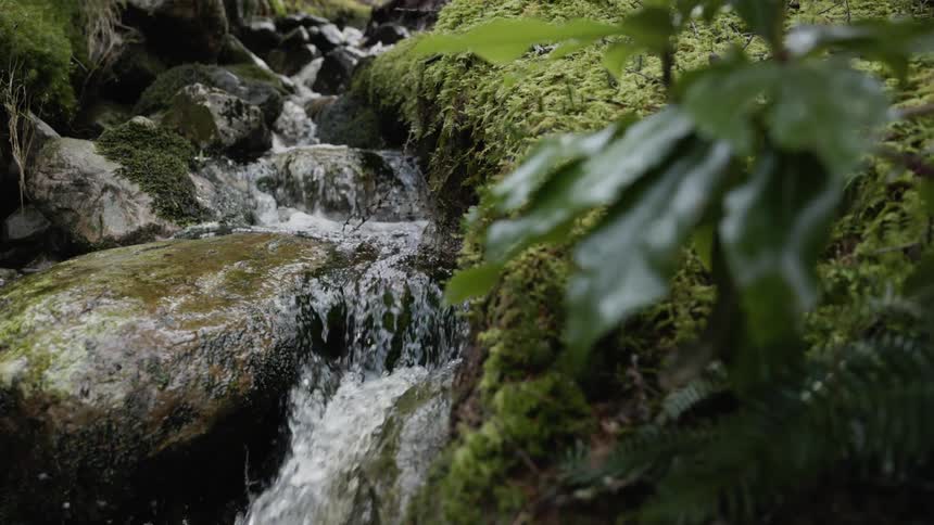 Slow motion stream runs over rocks with lush green moss