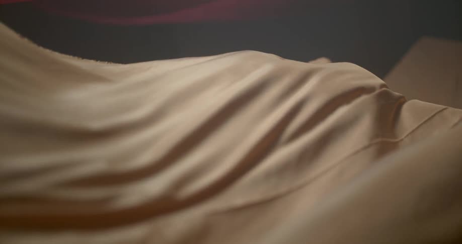 A long sheet waves in the wind