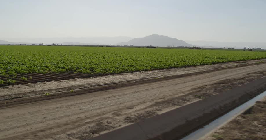 A field of crops on a farm and there are mountains in the distance under a hazy sky
