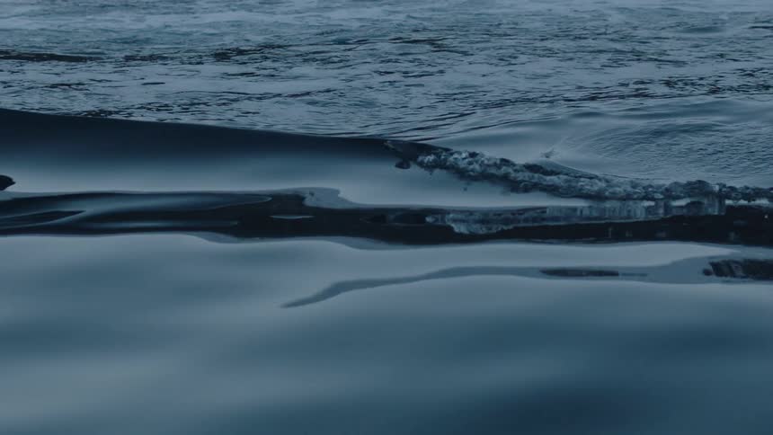 Water slowly ripples creating small waves that break