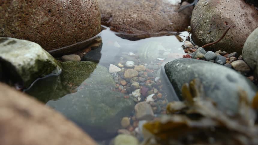 Puddle of standing water in between rocks
