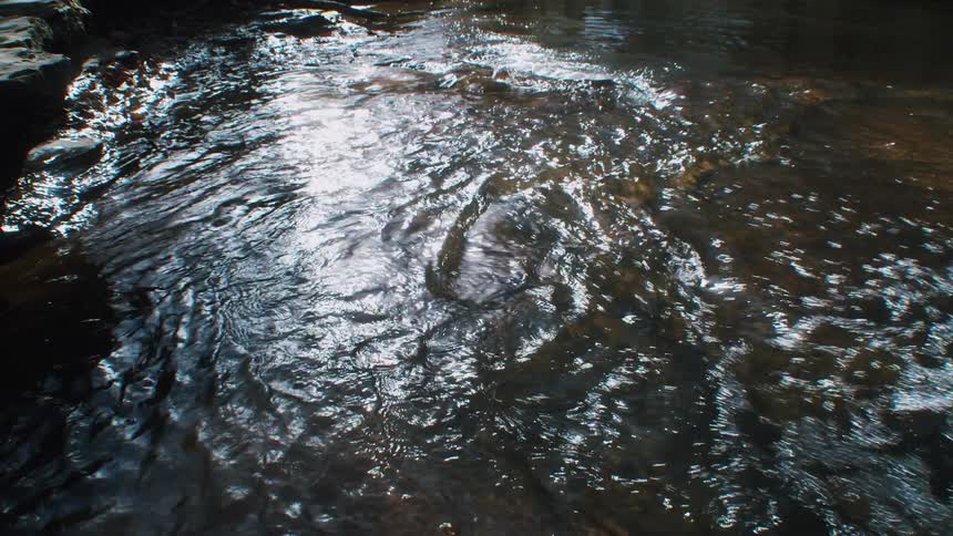 Water rushes to edge of a shallow stream rippling over the rocks in a dimly lit rocky area