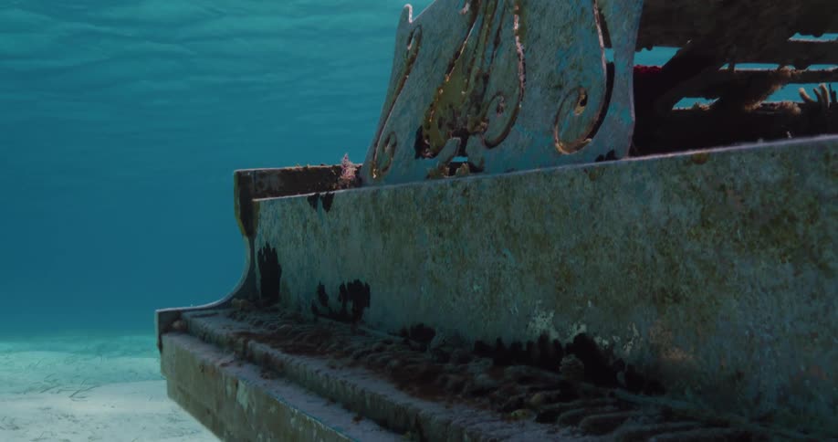 Fish swims through encrusted piano where it sits on seafloor