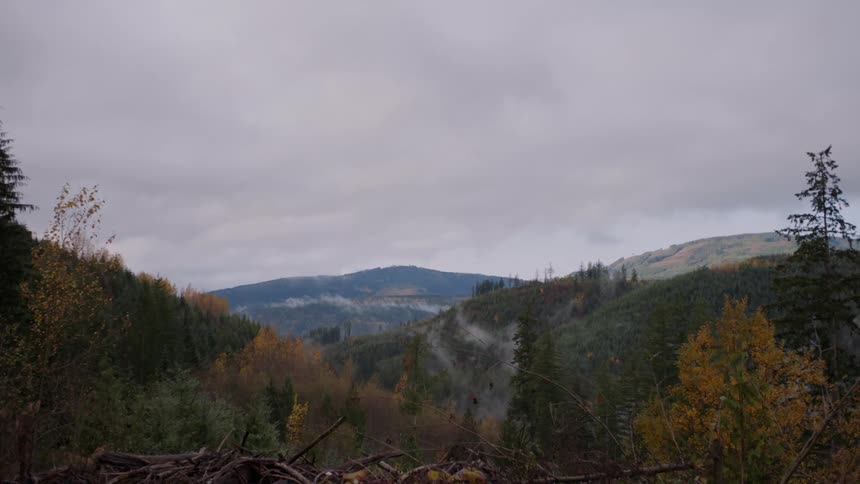 Mountains in the distance with orange and green trees in a forest in the foreground