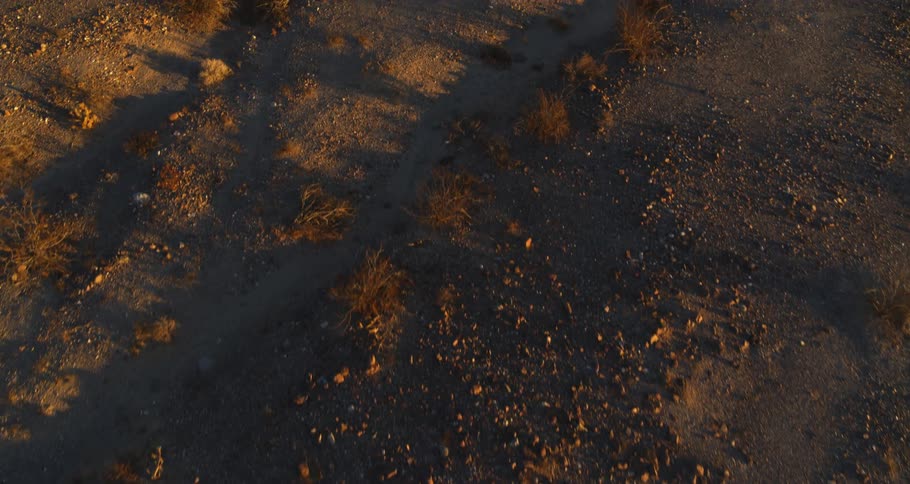 Tire tracks run through a dirt field