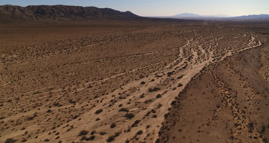 Plants and vegetation are scattered across the desert and there are mountains in the distance