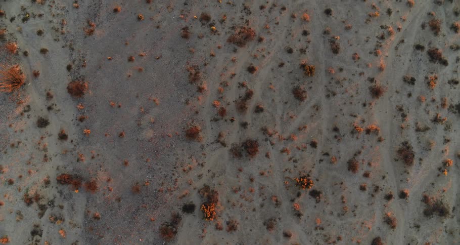 Person walks across arid scrub land