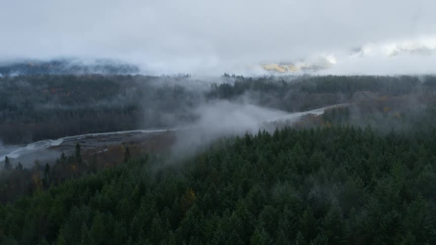 An aerial view of a pine forest and fog settling over it and the mountains in the distance