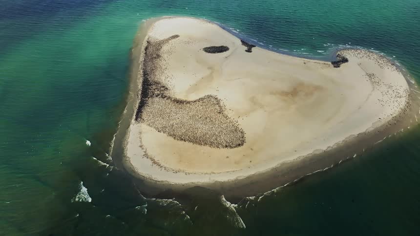 Waves roll over an island coast as large flocks of birds move over the land