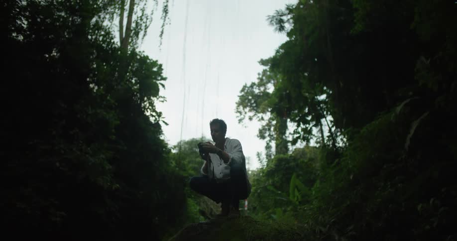 A man is taking photographs of the forest