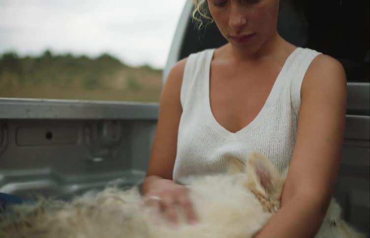 Woman rubs the fur of an injured dog while riding on the back of a pickup truck