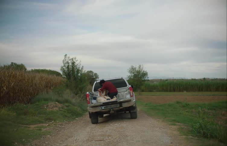 A man console a woman in the back of a pickup truck where she sits with a white dog