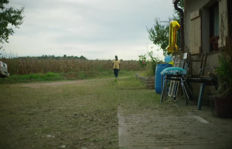 Dog walks on the backyard of a house in a farm while the family goes out