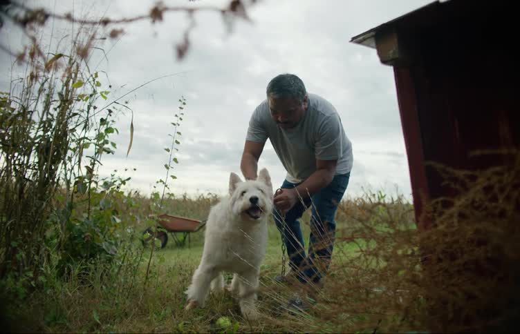 A man in a rural area walks with his dog and puts him on a leash and walks away