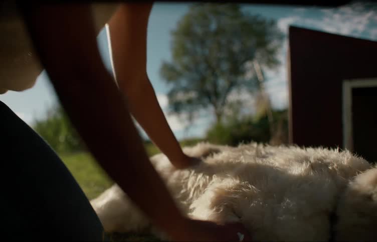 A young white woman is bring a bowl of water to her dog