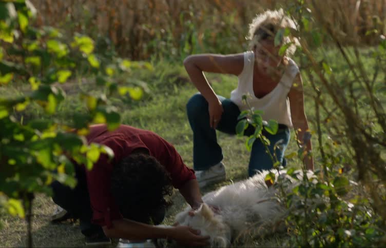 Two people are running to a dog in the middle of the day