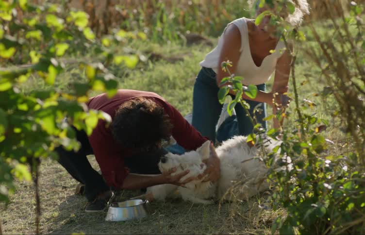 A woman and man run to a dog that is laying down and check it while looking worried