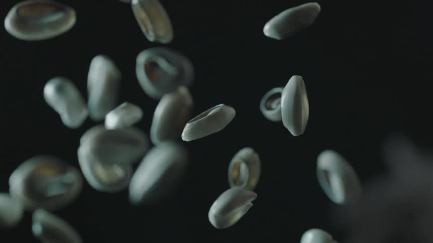 Someone throws shells into the air and then to the floor
