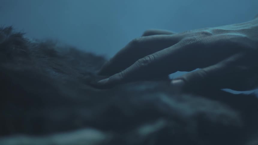 A hand is touching some fur
