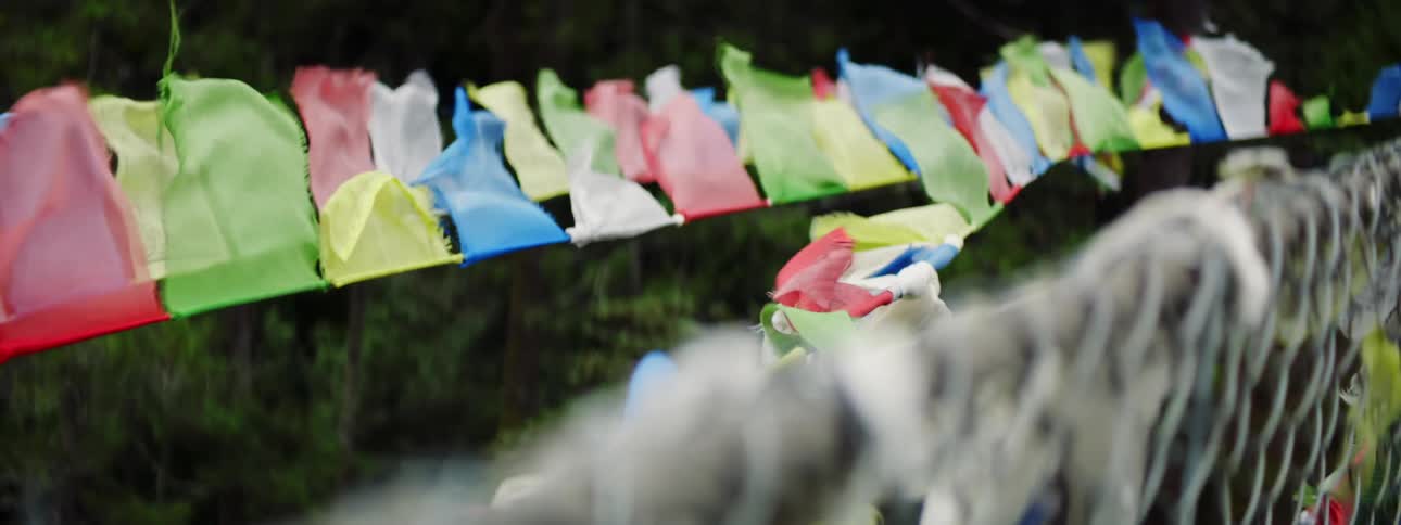 Flags stretched out near the woods wave in the wind