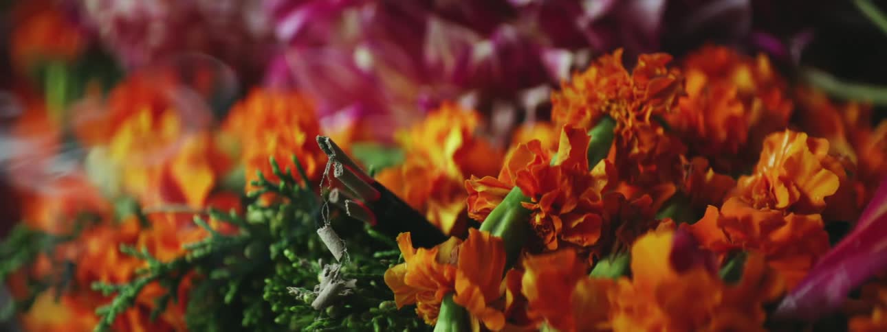 Bouquet of Beautiful Flowers: Close-Up Display