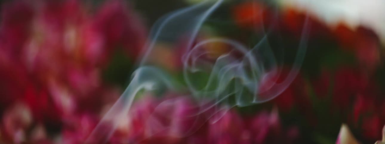 Smoke and Floral Arrangements: Aesthetic Contrast