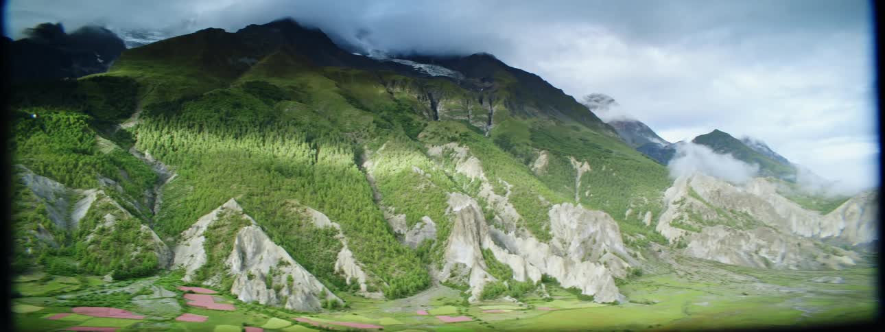 Pink and pale green fields sit at base of forest covered rocky mountain bordering river