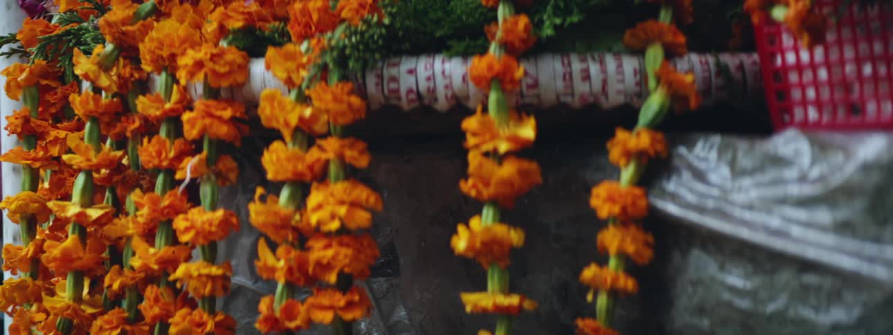 Flowers are hanging off the shelf